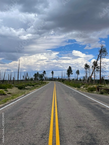 Verlassene Asphalt Strasse im Bryce Canyon National Park mit kahlen Bäumen. Eine dicke gelbe Strassenmarkierung ist in der Mitte der Strasse. Bewölkter Himmel mit grauen Wolken. photo