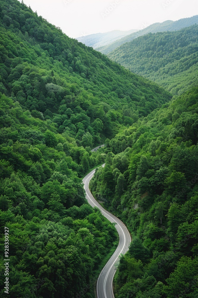 A scenic view of a winding road surrounded by dense foliage and vibrant greenery A scenic view of a winding road surrounded by dense foliage and vibrant greenery