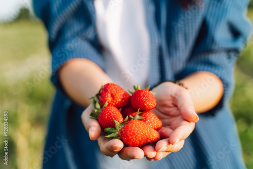 Hands of woman holding strawberries in field
