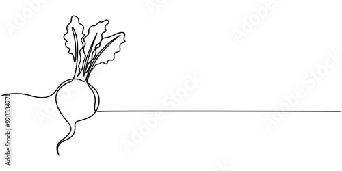 Beetroot in continuous line art drawing style. Garden beet black linear sketch isolated on white background. Vector illustration, Beetroot with Leaves. Woodcut radish or beets. beet vegetable cartoon