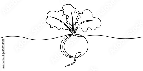 Beetroot in continuous line art drawing style. Garden beet black linear sketch isolated on white background. Vector illustration, Beetroot with Leaves. Woodcut radish or beets. beet vegetable cartoon