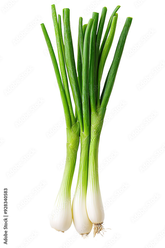 spring onions isolated on transparent background, side view spring onions isolated on transparent background, side view