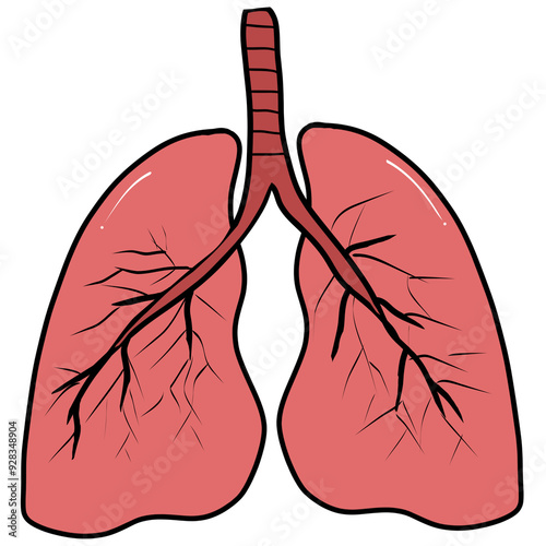 The lungs are responsible for receiving oxygen gas from the air into the body.