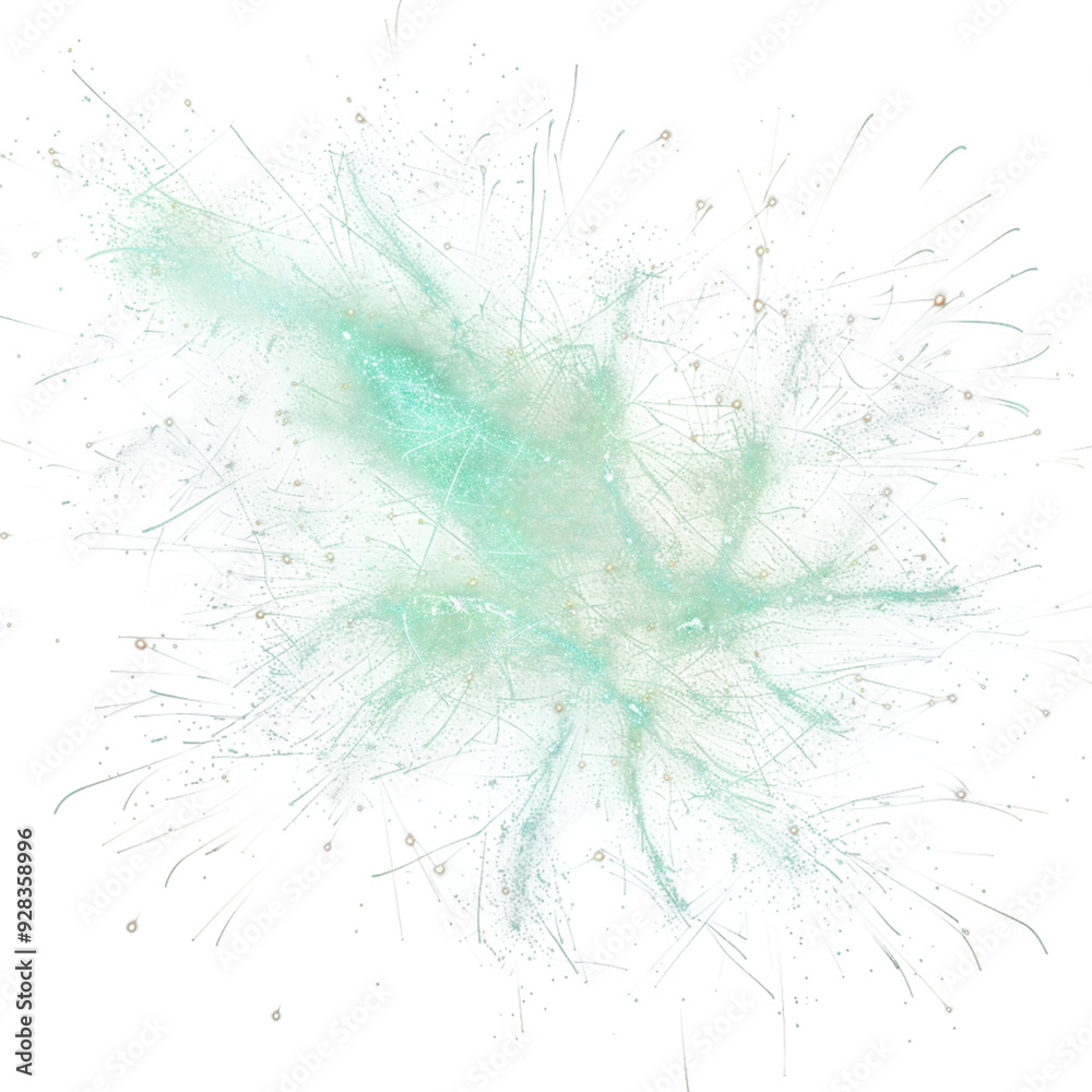 firework texture thin stroke lines. isolated on transparent background.png
firework texture thin stroke lines. isolated on transparent background.png