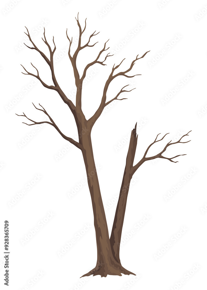 Old dead tree. Hand draw leafless trunk. Winter or autumn season plants icon, dry naked branch silhouette. Nature ecology problems concept. Isolated illustration Old dead tree. Hand draw leafless trunk. Winter or autumn season plants icon, dry naked branch silhouette. Nature ecology problems concept. Isolated illustration