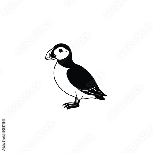 Atlantic Puffin or Common Puffin illustration