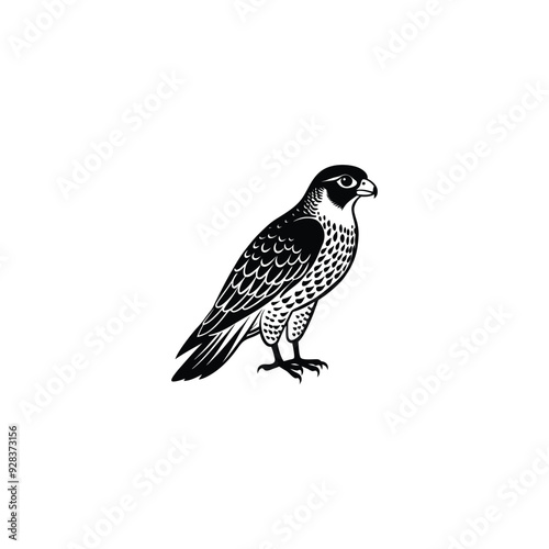 Falcon icon. Simple illustration of falcon vector icon for web