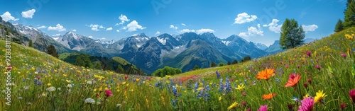 A beautiful, colorful field of flowers with a blue sky in the background