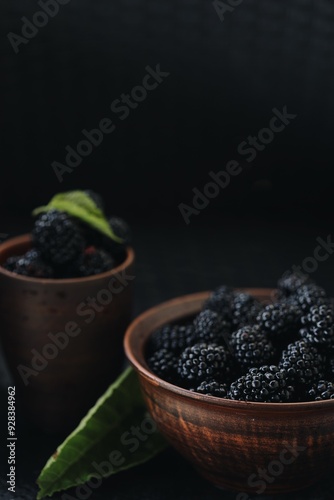 black and juicy blackberry berry