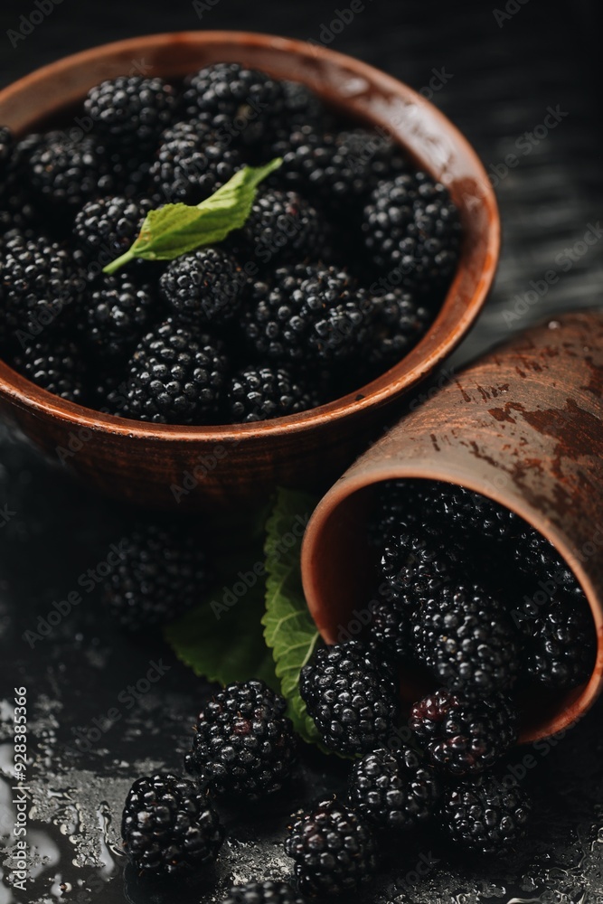 black and juicy blackberry berry black and juicy blackberry berry