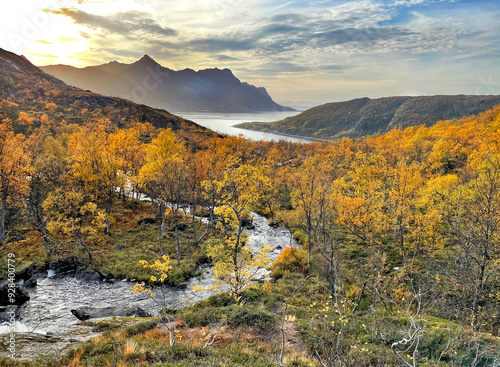 scenic view on a  river flowing in  forest in norway with yellow foliage and ...