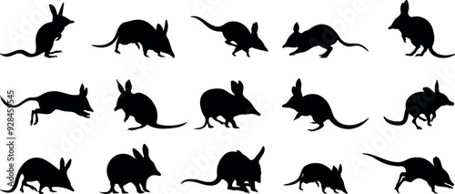 Set bilby animal silhouette vector illustration