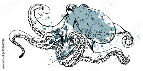 Marine life, sea ocean underwater creatures fish, shells algae seaweed, Ink and pen sketch hand drawn. Single object illustration, stylized, isolated on white. Zoo shop, aquarium, cosmetics, resort