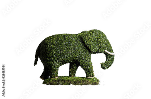 showing elephant shape made of Topiary tree on transparency white background