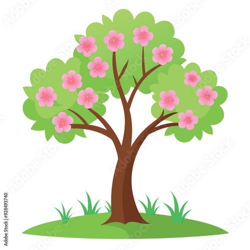 cherry blossom flower leaf tree branch