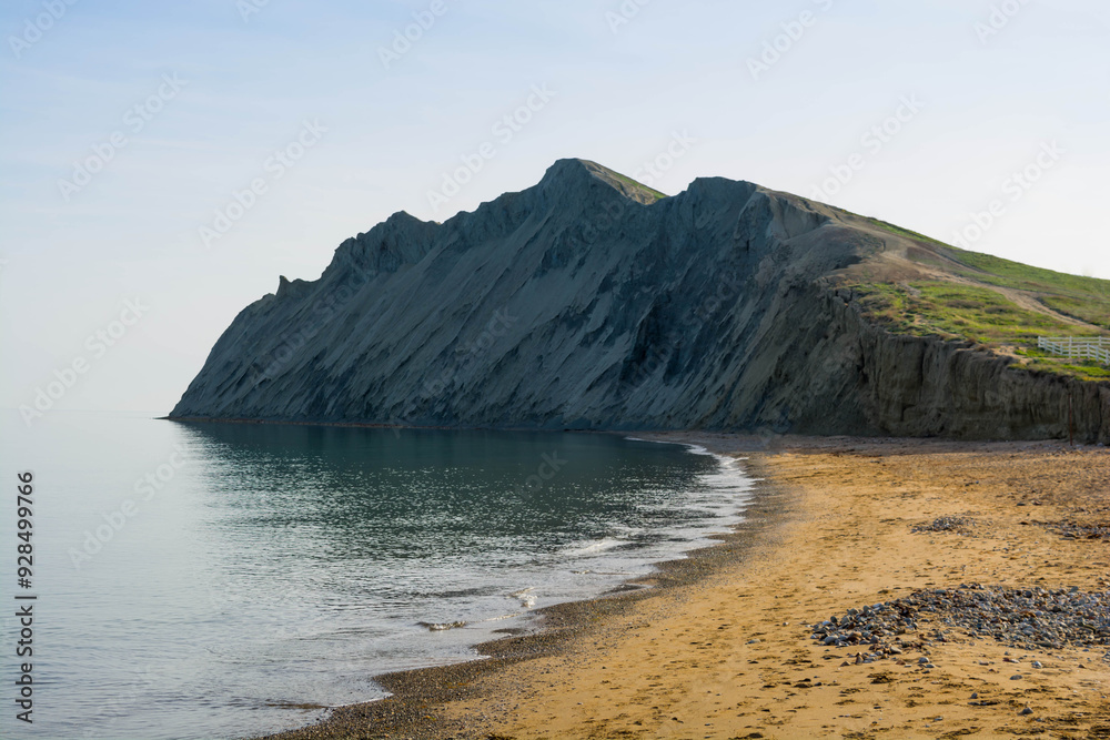 Obraz premium cape chameleon