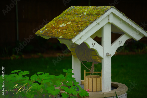 Wishing Well photo