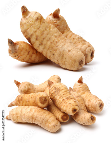  Fresh Gastrodia elata blume on white background photo