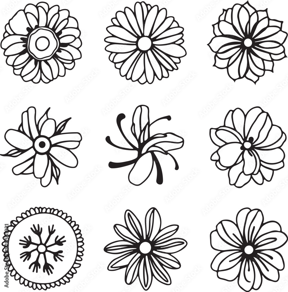 set of flowers vector set of flowers vector