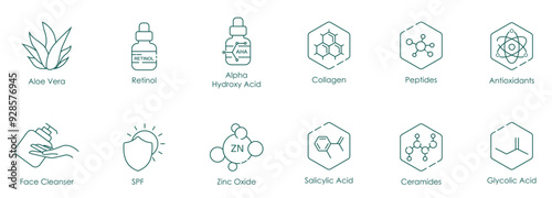 Illustration Icons of Aloe Vera, Retinol, Alpha Hydroxy Acid, Collagen, Peptides, Antioxidant, Face Cleanser, SPF, Zinc Oxide, Salicylic Acid, Ceramides, Glycolic Acid