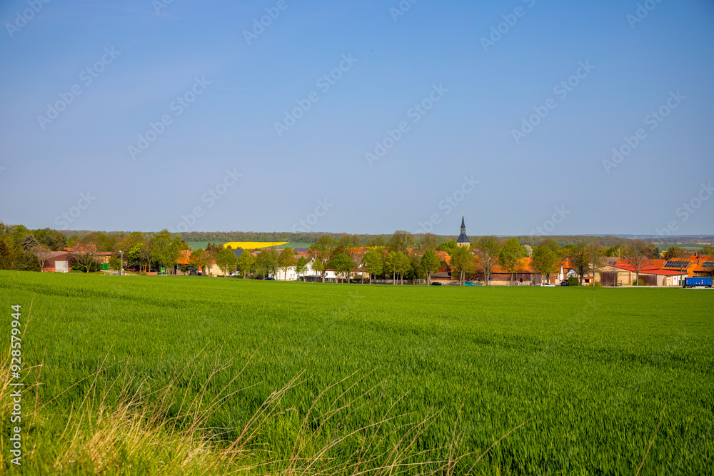 Agra field with a village in the background blurred Agra field with a village in the background blurred