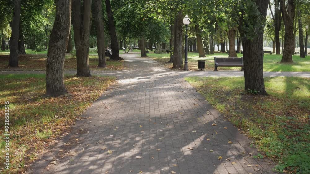 summer background tranquil scene city park slow moving on the footpath summer background tranquil scene city park slow moving on the footpath