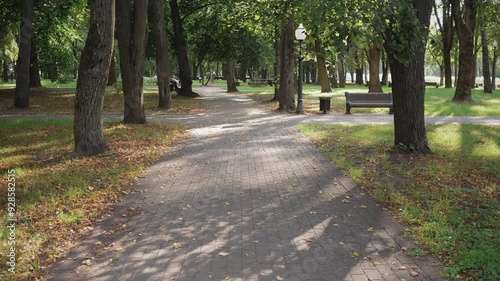 Wallpaper Mural summer background tranquil scene city park slow moving on the footpath Torontodigital.ca