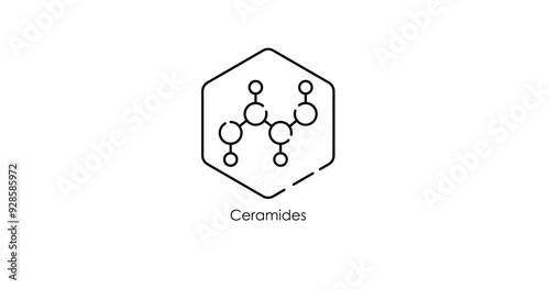 Ceramide Molecule Structure Vector Illustration Icon