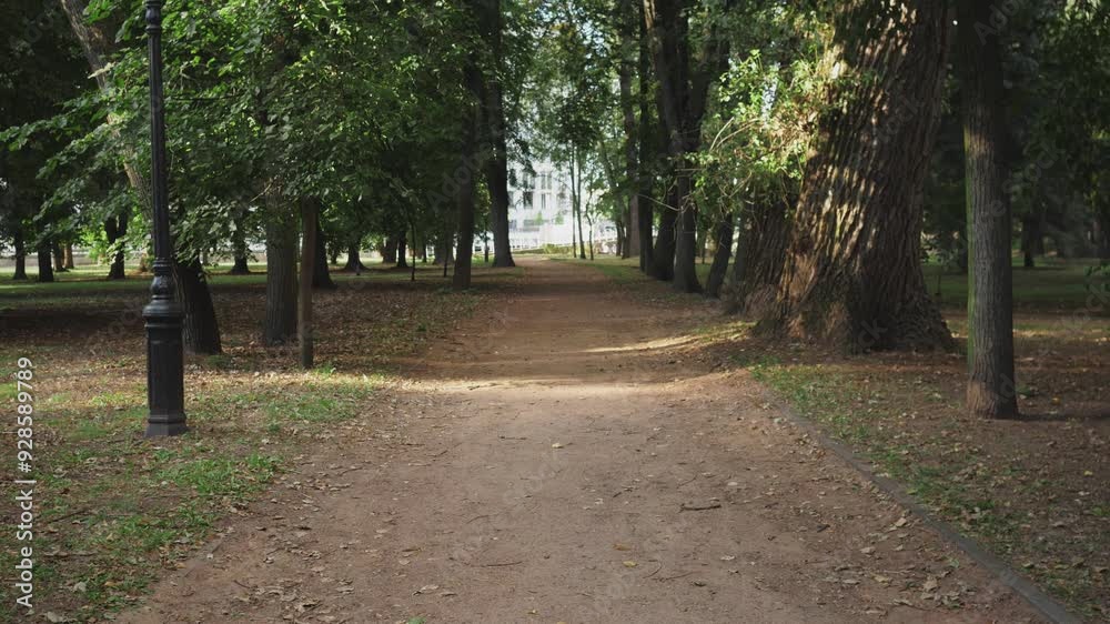 background summer park empty pedestrian walkway traffic first person view