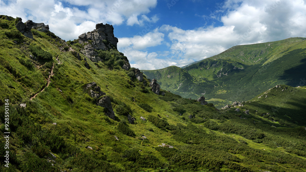 Obraz premium a huge rock stone, a ledge of the Chornohirsky Ridge, in the Carpathians, Eared Stone, Chornohora, the Carpathians, Ukraine
