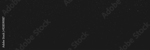 Beautiful Night Sky with Shiny Stars