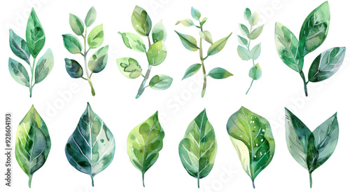 Set of watercolor green leaves in different shapes and sizes, ideal for botanical designs, nature-themed art, and eco-friendly projects. photo