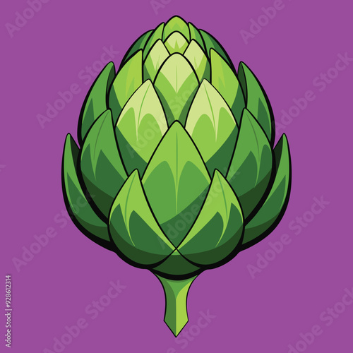 vector illustration of artichoke