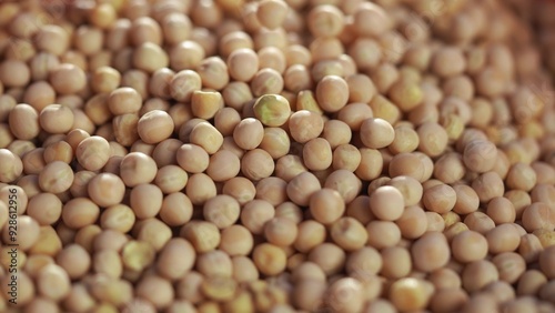 Agriculture. Close up of crumbling soybeans in a field. agriculture business farm concept. A farm of grains and peas in agriculture. Close up of crumbling grains and soybeans on lifestyle a farm.