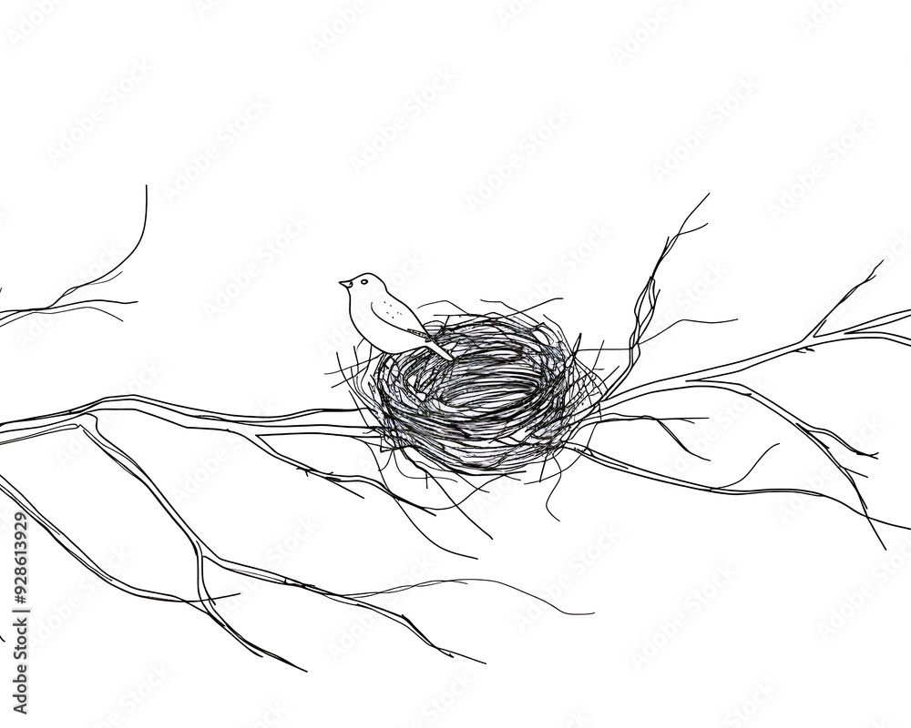 Birds Nest - bird, nest, branch, tree, nature, illustration, sketch, art, drawing, twig, monochrome, black and white, wildlife, avian, home, nesting Birds Nest - bird, nest, branch, tree, nature, illustration, sketch, art, drawing, twig, monochrome, black and white, wildlife, avian, home, nesting
