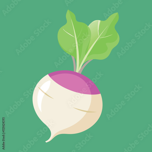 illustration of a radish