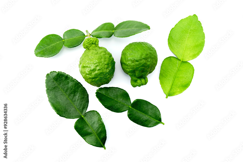 Fresh Kaffir lime or Citrus Bergamot fruit with green leaves,dorsal side and ventral side, isolated on white background stack top view flat lay. Fresh Kaffir lime or Citrus Bergamot fruit with green leaves,dorsal side and ventral side, isolated on white background stack top view flat lay.