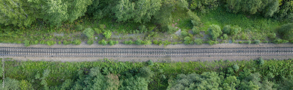 Fototapeta premium Railway Tracks Passing through Green Forest, Top View