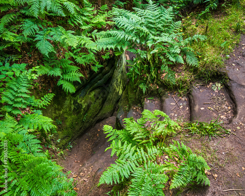 Heading down the winding set of steps carved into the rocks many etchings such as Celtic crosses, human faces and other ‘mystical’ symbols are carved into the rocks6 photo