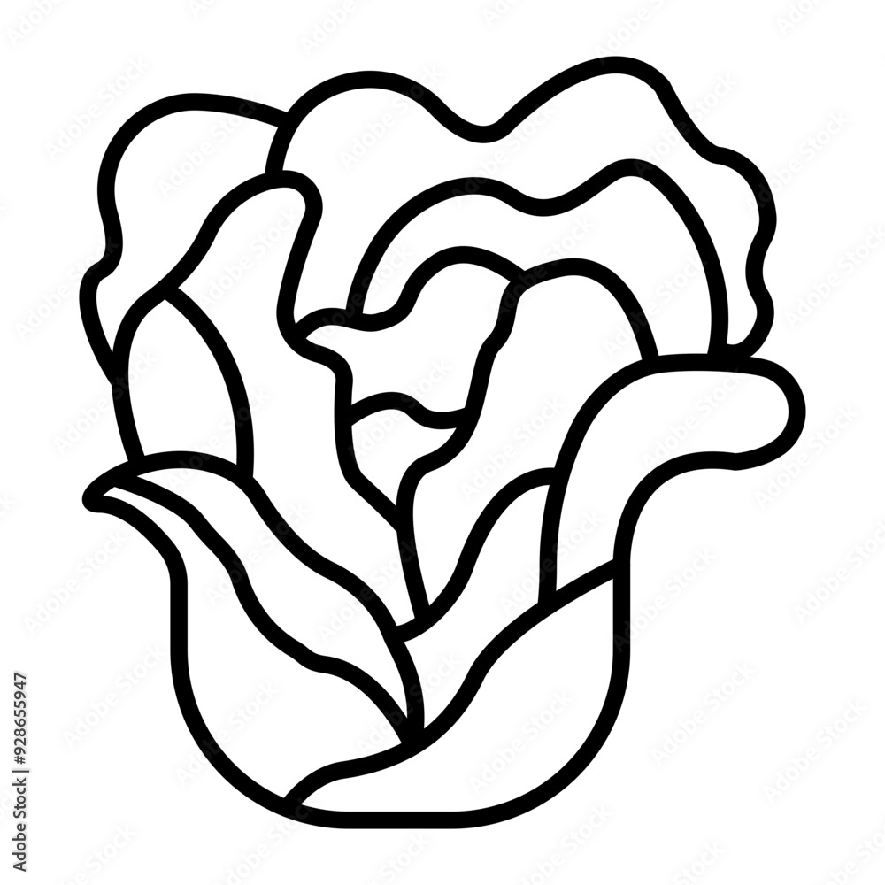 Ornamental Cabbage line icon