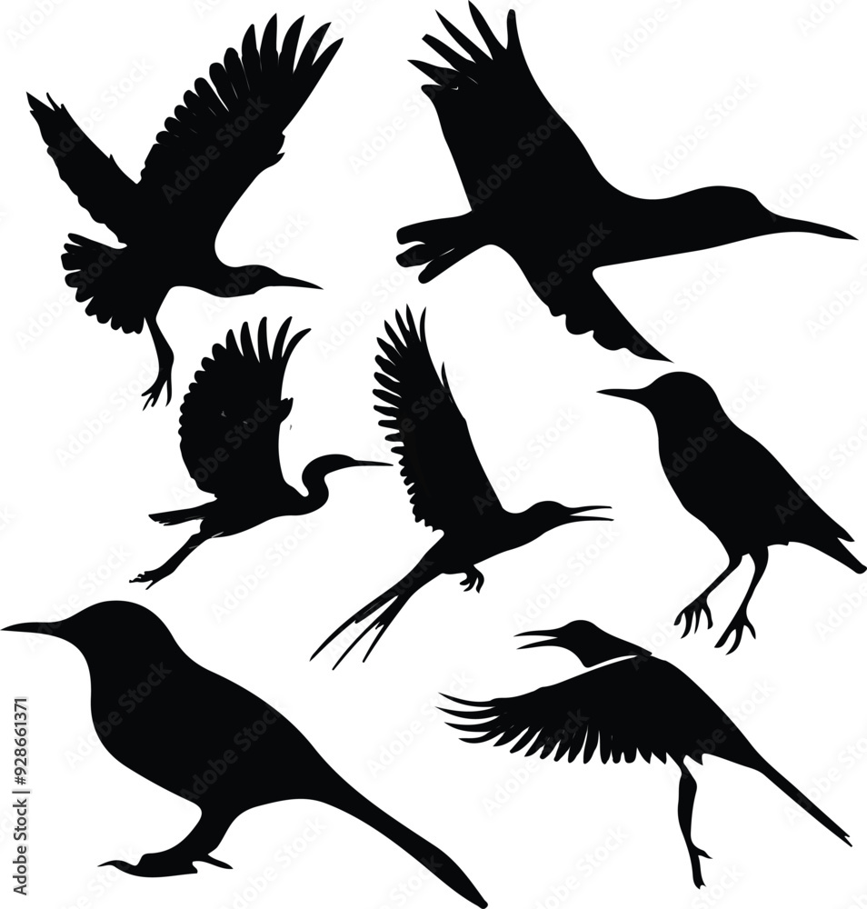 Obraz premium silhouette cats vector