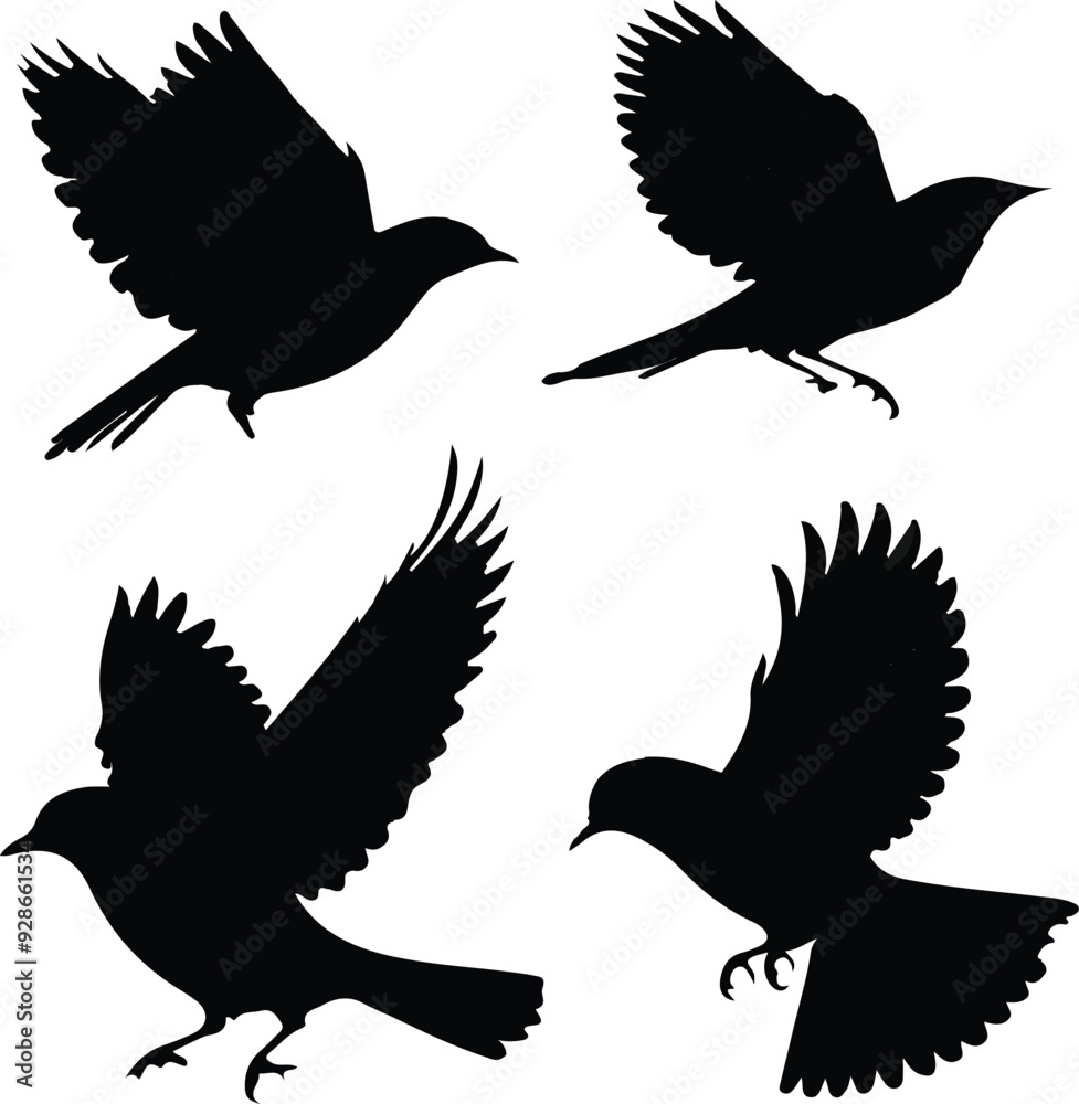 Naklejka premium Silhouette birds vector
