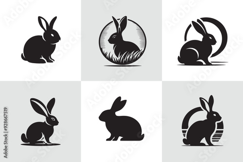Rabbit vector set