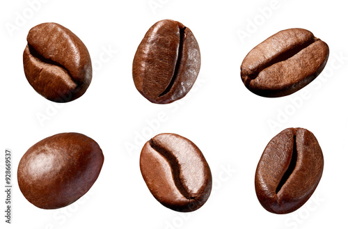 Wallpaper Mural coffee bean brown roasted caffeine espresso seed Torontodigital.ca