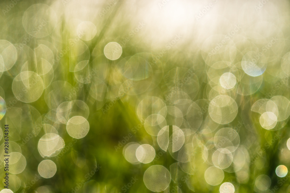 Obraz premium full frame of out of focus bright green background