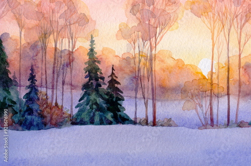 Trees in the winter forest. Watercolor landscape photo