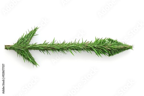 Grass Arrow Pointer isolated on white Background