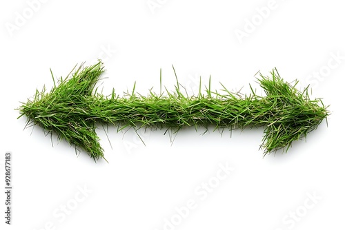 Grass Arrow Pointer isolated on white Background