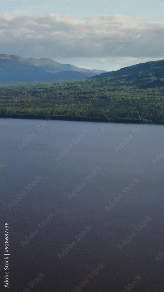 Aerial view of mountain during summer