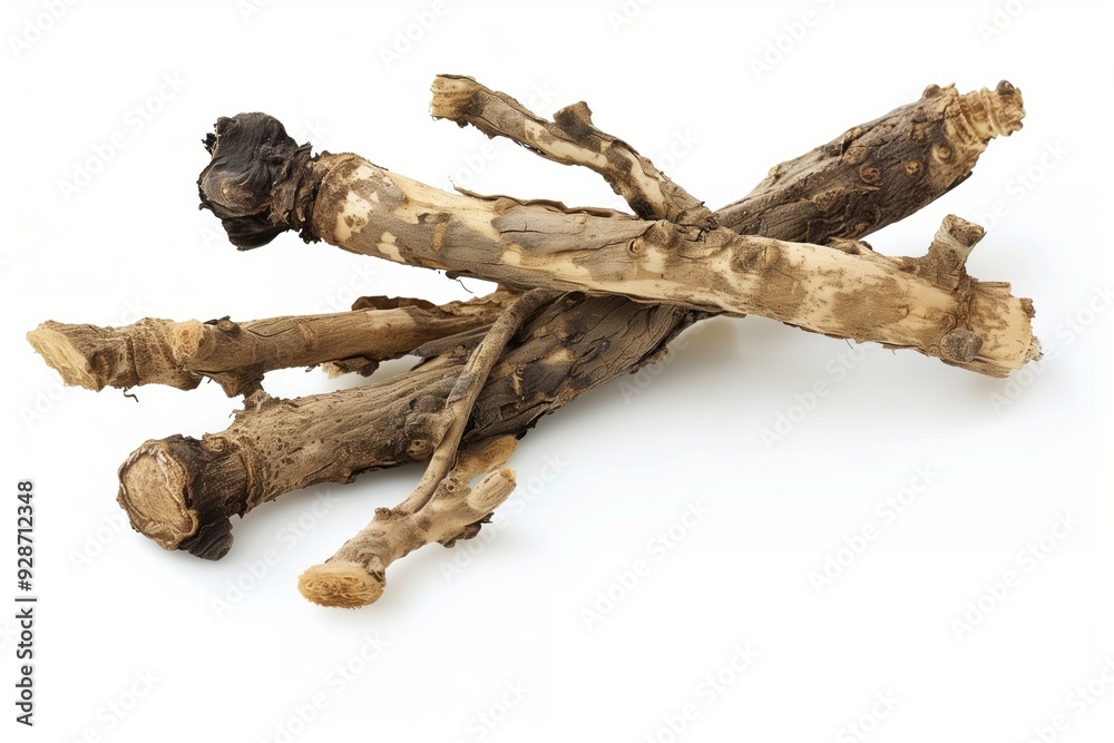 Chinese Angelica Root Chinese Angelica Root